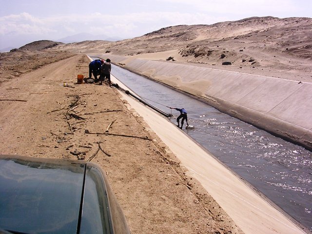 chinecas canal